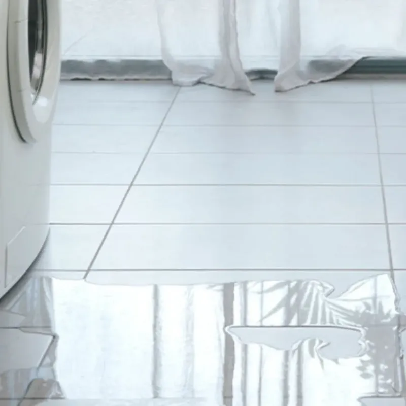 Appliance Leak Cleanup in Madison County, FL
