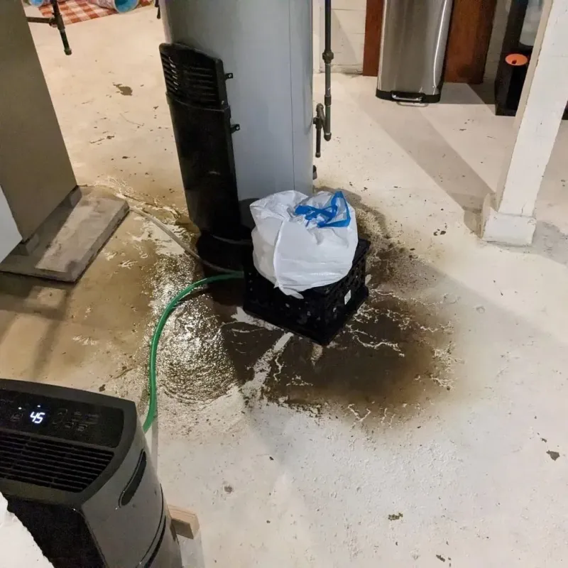 Sewage Backup Cleanup Service in Madison County, FL